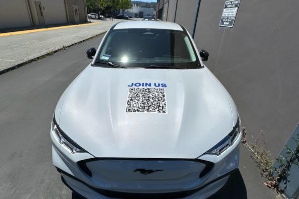 imgpsh_fullsize_anim (47)