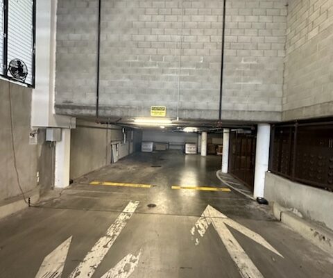 imgpsh_fullsize_anim (48)