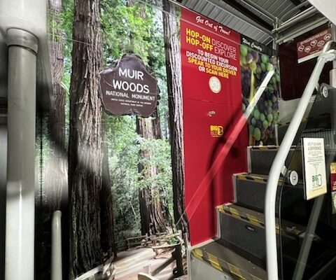 imgpsh_fullsize_anim-_5_