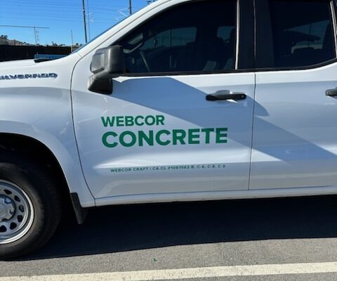 imgpsh_fullsize_anim-_6_